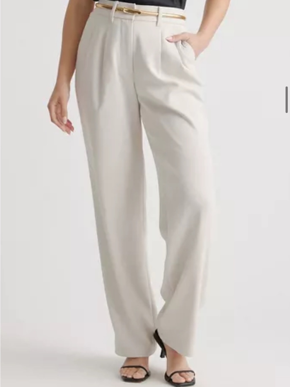 Quince Pleated Wide Leg Trouser Pants Oatmilk Beige Tan High Rise Womens Size 10